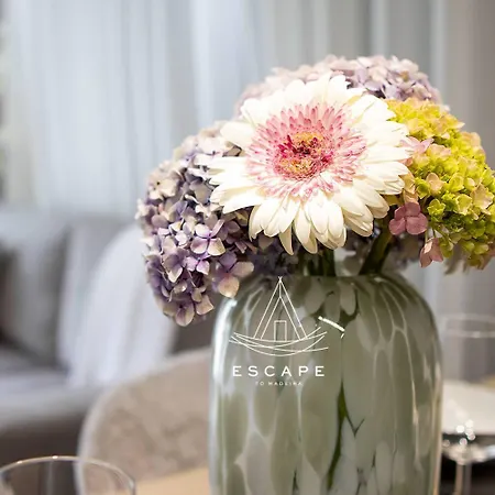 Lobos Dream Flat By Escape To Madeira *