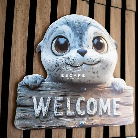 Lobos Dream Flat By Escape To Madeira *