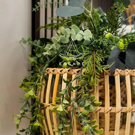 Апартаменты Lobos Dream Flat By Escape To Madeira