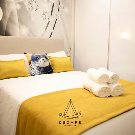 Апартаменты Lobos Dream Flat By Escape To Madeira Камара-де-Лобуш