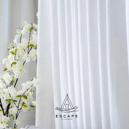 Lobos Dream Flat By Escape To Madeira Апартаменты