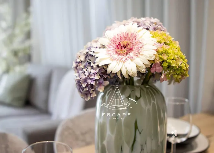 Lobos Dream Flat By Escape To Madeira *