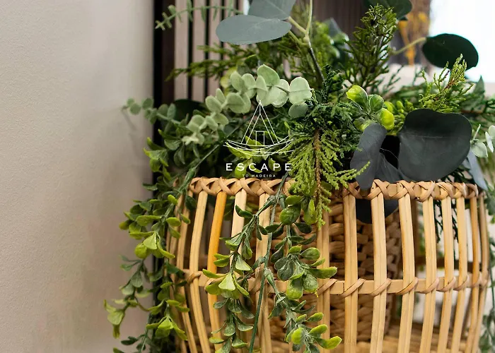 Apartmán Lobos Dream Flat By Escape To Madeira