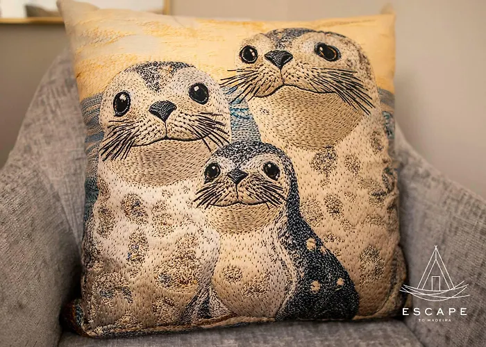 Lobos Dream Flat By Escape To Madeira Apartmán Câmara de Lobos