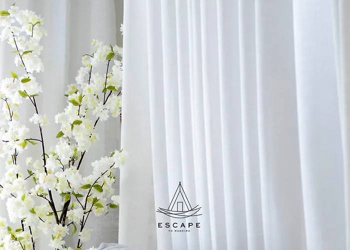 Lobos Dream Flat By Escape To Madeira Apartmán